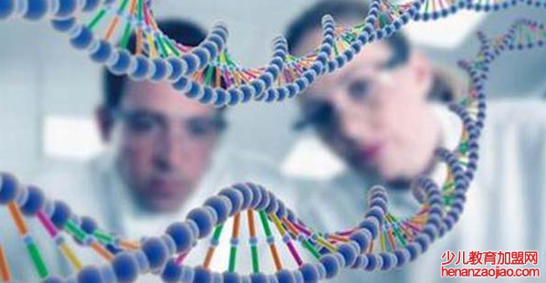 坚果科学实验室加盟