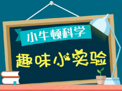 小牛顿科学实验室加盟怎么样？加盟条件有哪些？