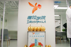 德拉学院STEAM教育加盟怎么样？市场前景棒棒哒，加盟靠谱！