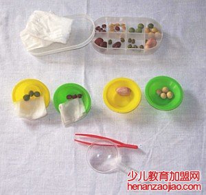 少儿科学实验加盟的特点是什么？历史背景有哪些？