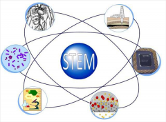 专业机构解答加盟stem教育行业