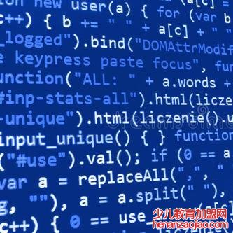少儿编程加盟费不要钱为什么