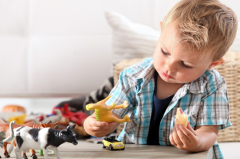 百年育才教育加盟费多少？只