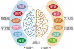 卓人右脑怎么样？卓人右脑有