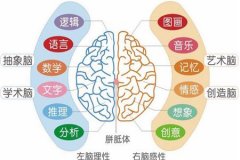 卓人右脑怎么样？卓人右脑有