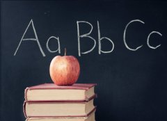 新诺国际少儿英语加盟怎么样？知名教育机构，让孩子学的更安心！
