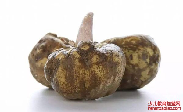 蒟蒻怎么读,蒟蒻是什么,蒟蒻的功效与作用