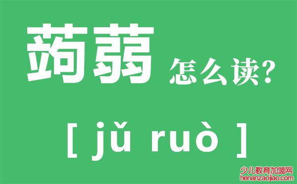 蒟蒻怎么读,蒟蒻是什么,蒟蒻的功效与作用