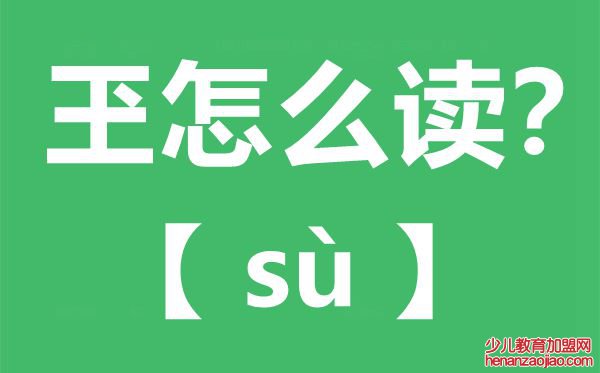 玊怎么读,玊念什么,玊字的拼音,玊字是什么意思
