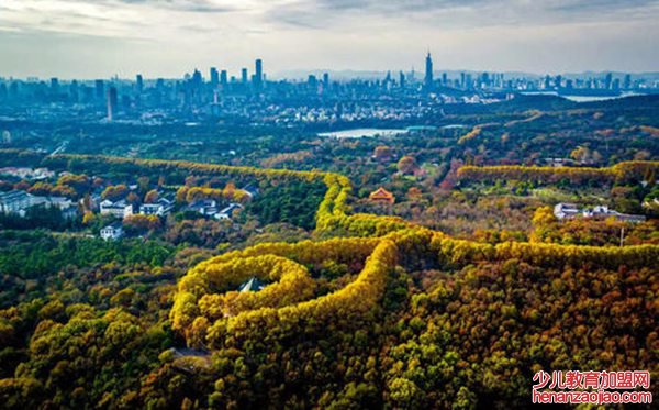 蓊郁怎么读,蓊郁的拼音是什么,蓊郁的近义词是什么