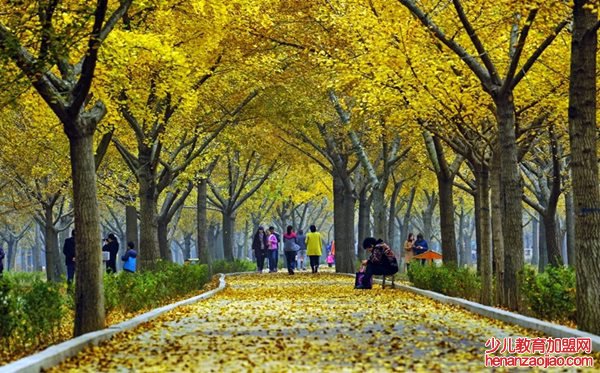 郯城怎么读,郯城的读音是什么,郯城属于哪里