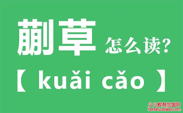 蒯草怎么读,蒯草的拼音,蒯草是什么意思
