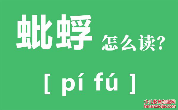 蚍蜉怎么读拼音是什么,蚍蜉是什么,蚍蜉撼树什么意思