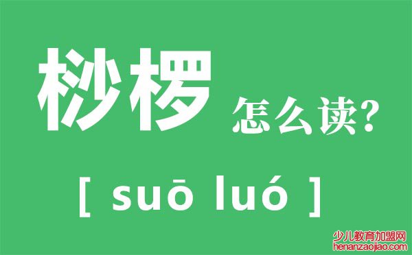 桫椤怎么读拼音是什么,桫椤是什么植物,桫椤树介绍