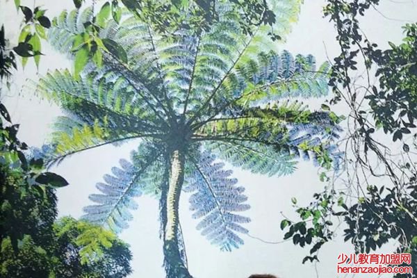 桫椤怎么读拼音是什么,桫椤是什么植物,桫椤树介绍