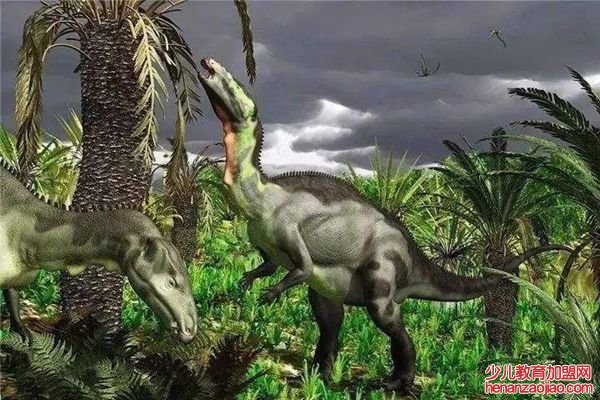 桫椤怎么读拼音是什么,桫椤是什么植物,桫椤树介绍