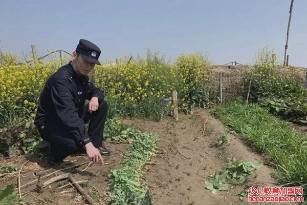 罂粟怎么读拼音是什么,罂粟是什么,罂粟长什么样