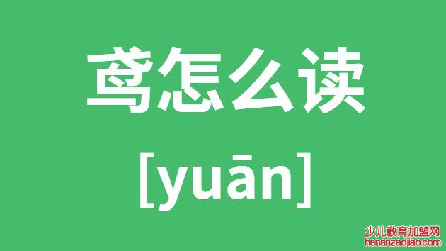 鸢怎么读