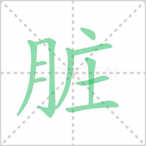 脏的笔顺