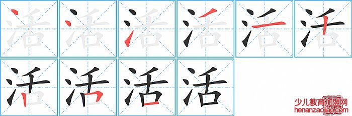 活的笔顺、笔画