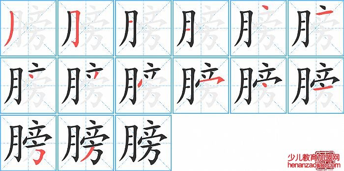 膀的笔顺、笔画