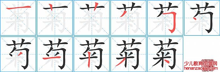 菊的笔顺、笔画