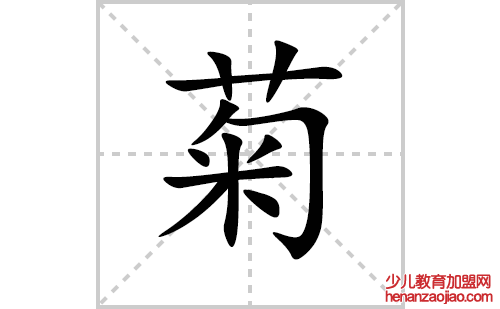 菊的笔顺笔画怎么写(菊的拼音、部首、解释及成语解读)