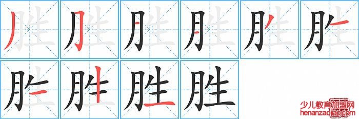 胜的笔顺、笔画