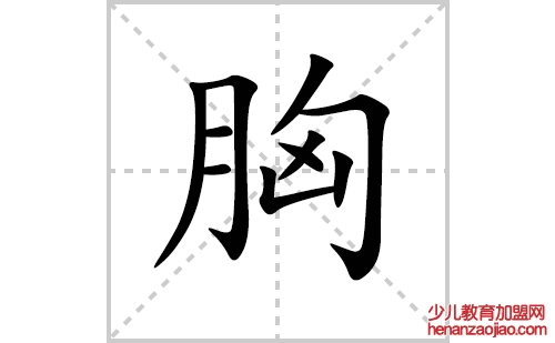 胸的笔顺笔画怎么写(胸的拼音、部首、解释及成语解读)