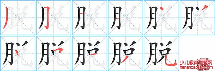 脱的笔顺、笔画