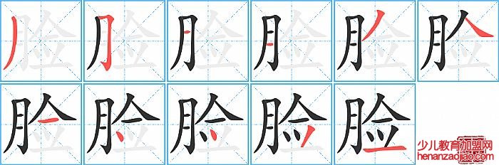 脸的笔顺、笔画