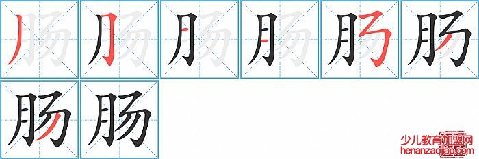 肠的笔顺、笔画