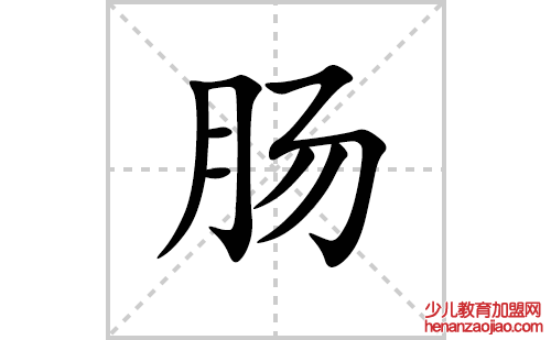 肠的笔顺笔画怎么写(肠的拼音、部首、解释及成语解读) 