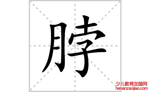 脖的笔顺笔画怎么写(脖的拼音、部首、解释及成语解读)