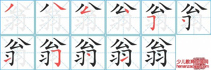 翁的笔顺、笔画