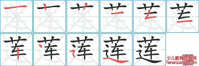 莲的笔顺、笔画