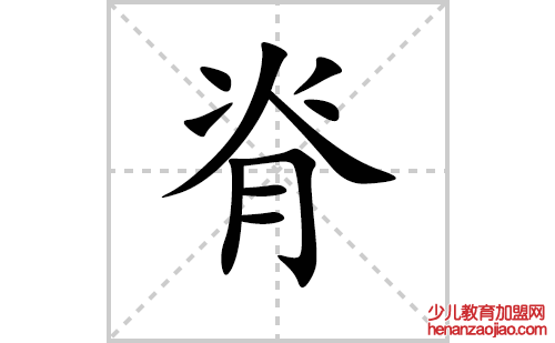 脊的笔顺笔画怎么写(脊的拼音、部首、解释及成语解读)