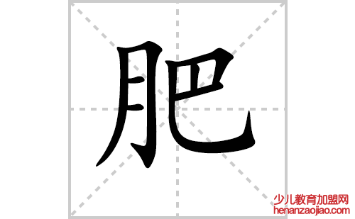 肥的笔顺笔画怎么写(肥的拼音、部首、解释及成语解读) 