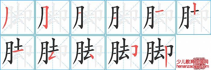 脚的笔顺、笔画