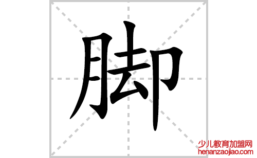 脚字怎么写好看（脚的笔顺、笔画书写教程）