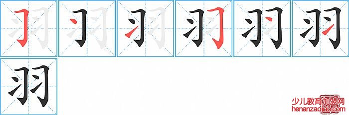 羽的笔顺、笔画