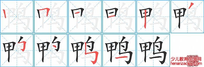 鸭的笔顺、笔画