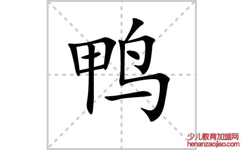 鸭的笔顺笔画怎么写（鸭的笔画、拼音、解释及成语详解）