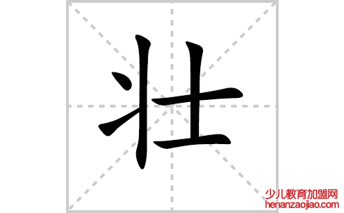 壮的笔顺笔画怎么写(壮的笔画、拼音、解释及成语详解)