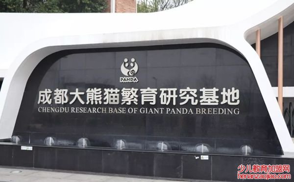 大熊猫为什么被视为中国的国宝