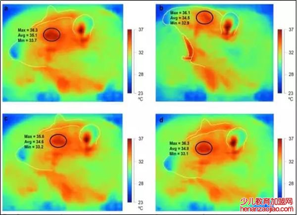 人为什么会打哈欠,老打哈欠怎么回事,打哈欠的原因