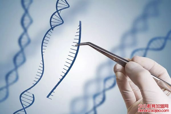 为什么基因工程也叫遗传工程,什么是基因工程