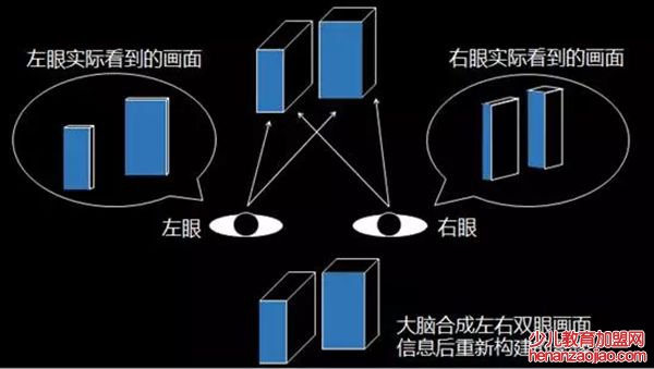 看3D电影为什么要戴3D眼镜,3D电影的原理是什么