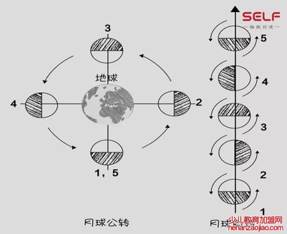 为什么我们只能看到月球的一面,月球的背面是什么