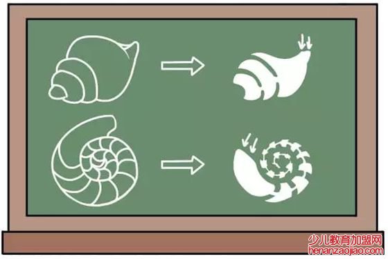 海螺里为什么有大海的声音